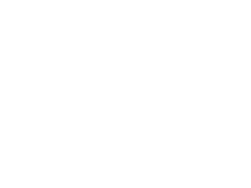 PAI³ logo