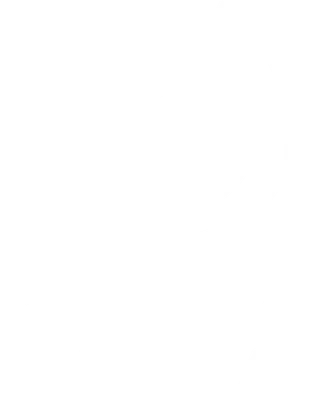 Magnus Capital logo