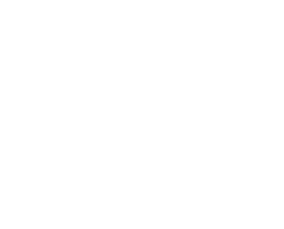 The Battle Arena logo